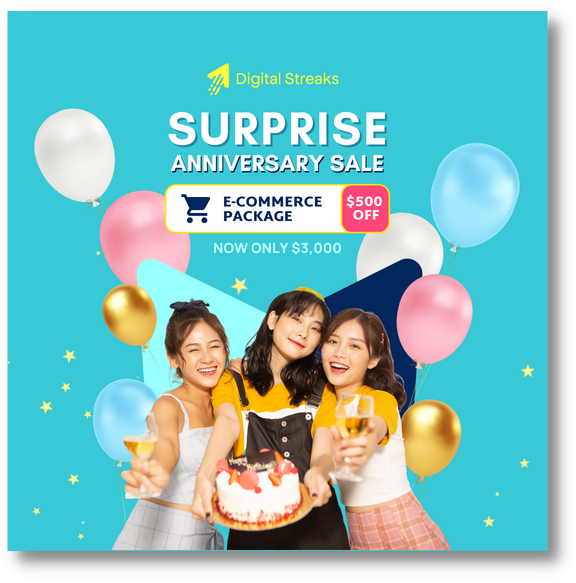 Surprise Anniversary Sale, E-commerce Package (50% Off), Now only $3000 per month